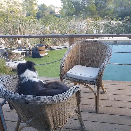 El Paraiso De Perros ホテル *