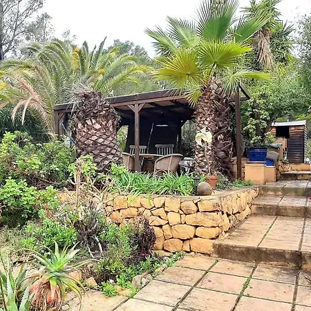 El Paraiso De Perros *